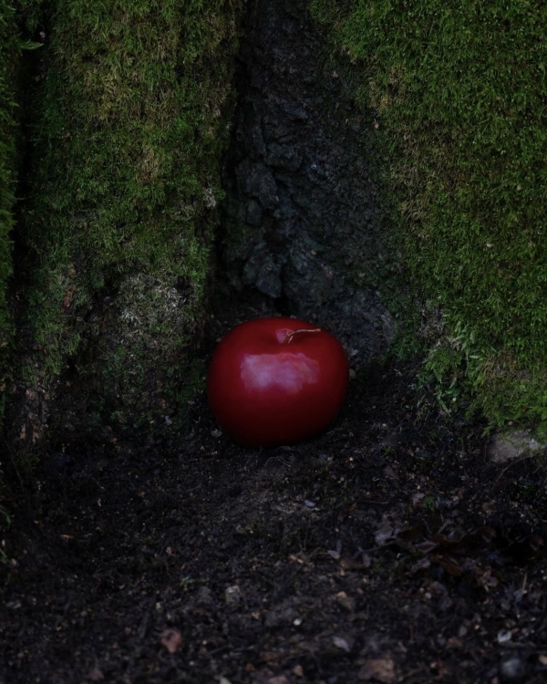 Три, два, один — декабрь! Зимний to