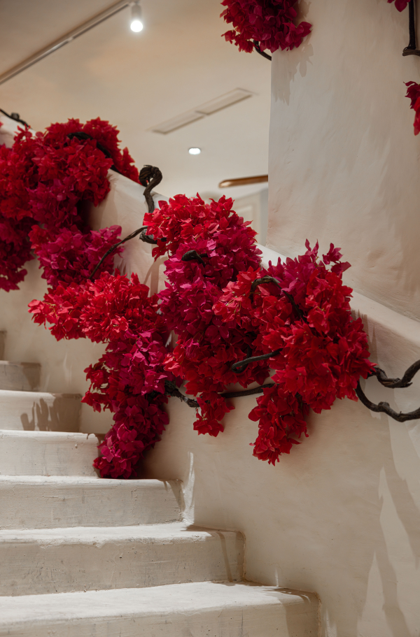 Площадки Ресторан Пафос