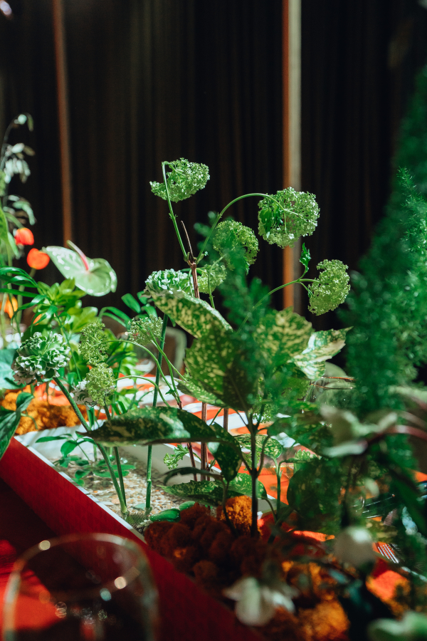 Больше, чем декор: 5 уникальных проектов декоратора