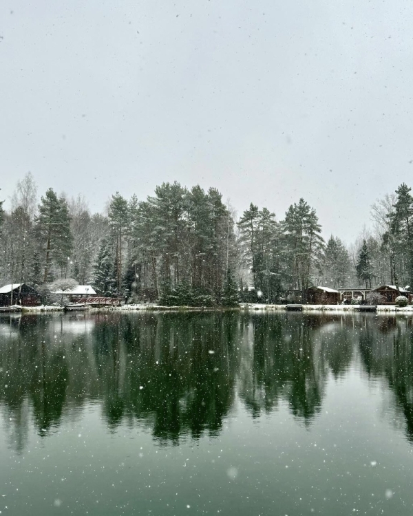 Как дома, только лучше: новогодние программы в