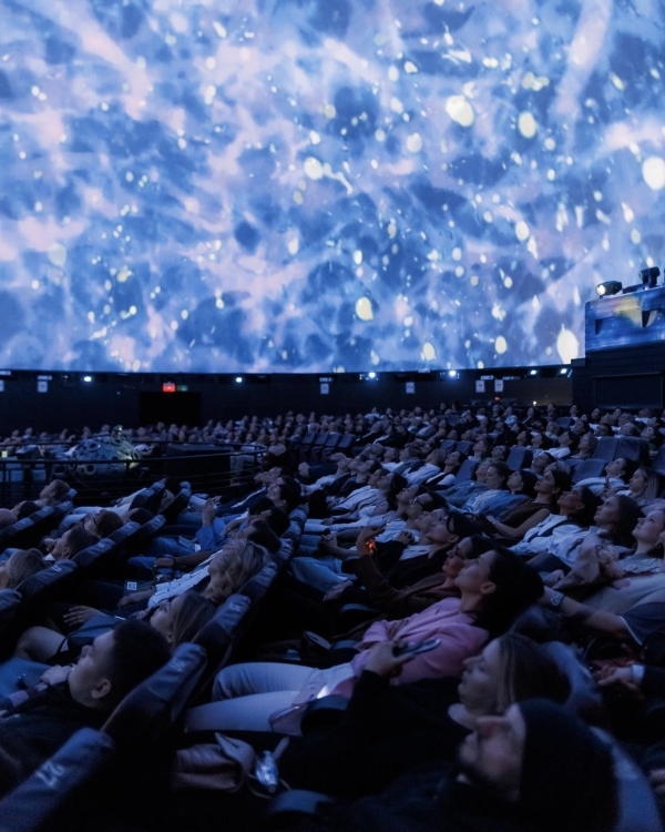 Некогда унывать! Вот главные события ноября 2024