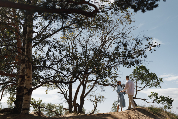 Площадки БОР812