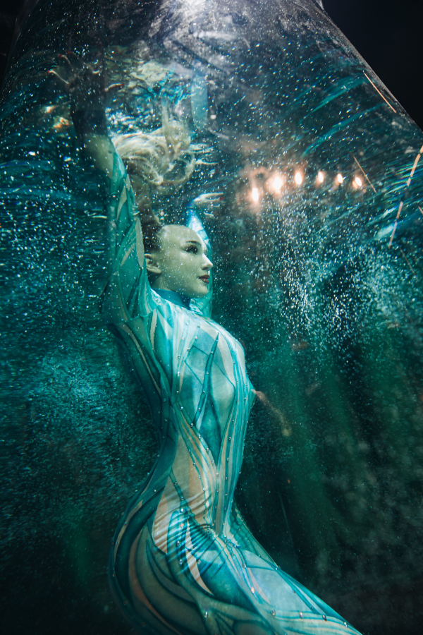 Больше, чем декор: 5 уникальных проектов декоратора