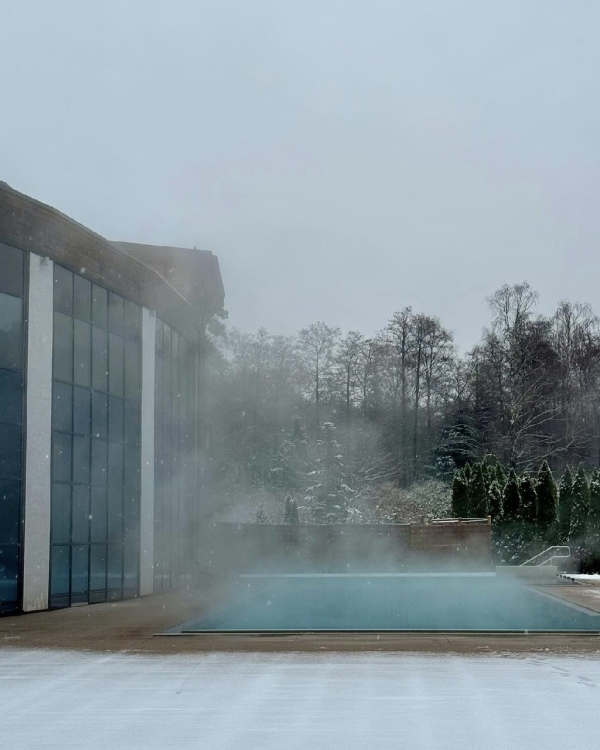 Как дома, только лучше: новогодние программы в