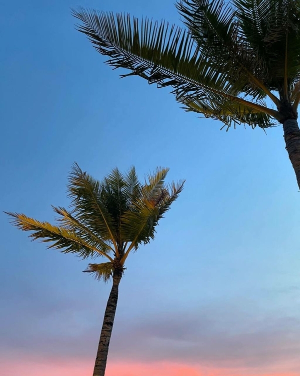 Два билета в лето, пожалуйста. 10 лучших