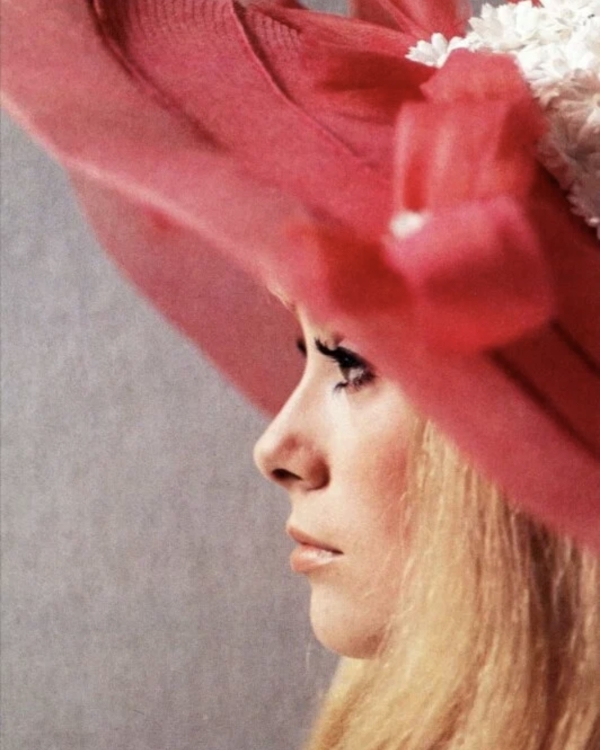 Полнолуние в тайной чайной Full Moon, день