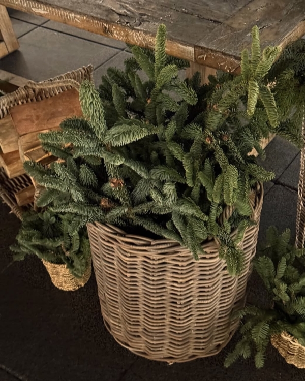 «Давай на каток?»: Гид по главным каткам