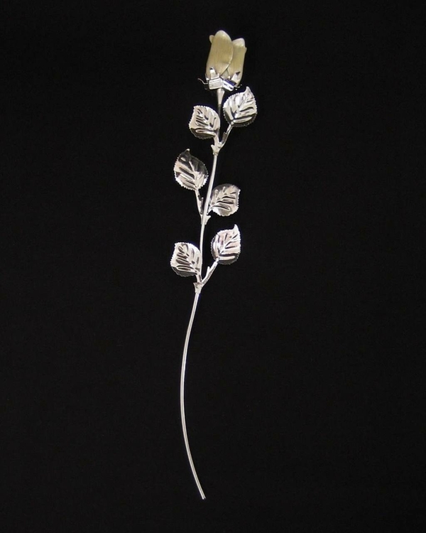 Можно ли гостю пойти на свадьбу в