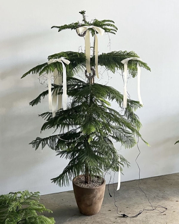 Как украсить елку на Новый год 2025?