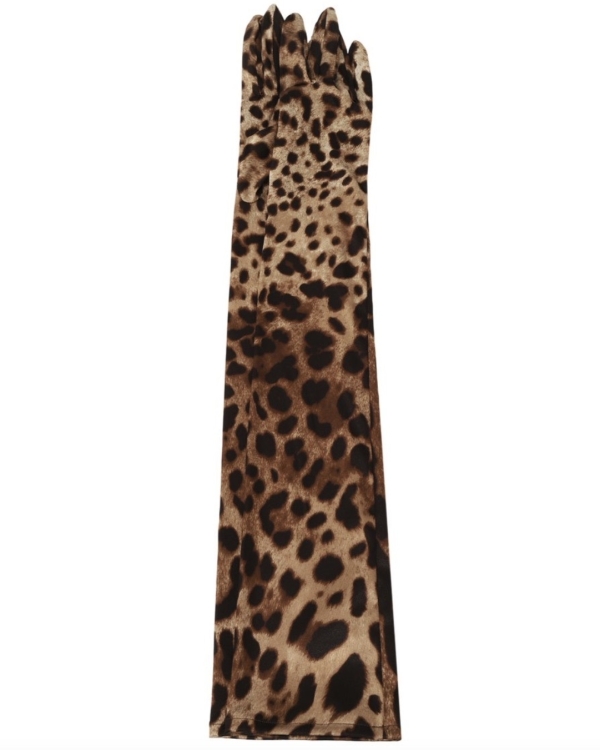 «Ты можешь выбрать любого питомца, которого ты