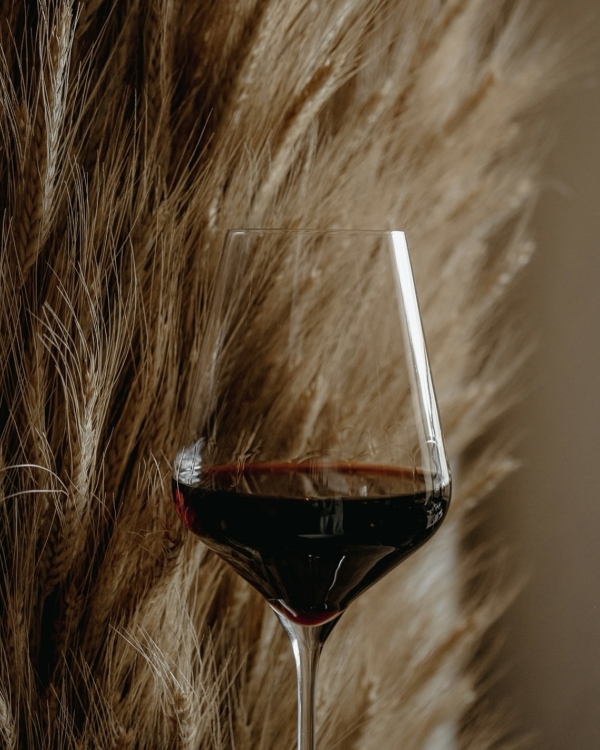 Beat Film Festival и другие события, которые