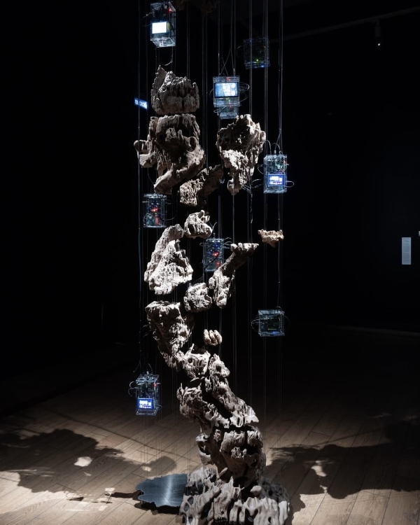 Интересные события ноября 2025 в Москве