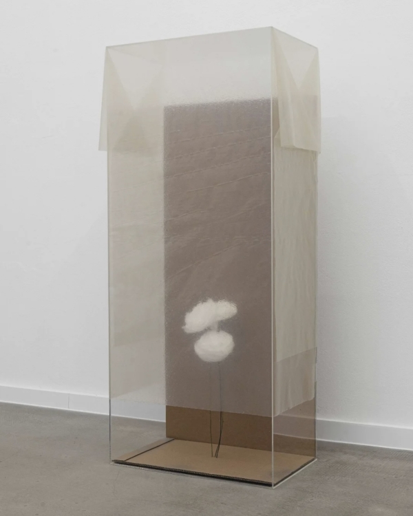 Почему свадьба зимой — больше плюс, чем