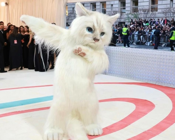 Met Gala назвал тему бала 2026 —