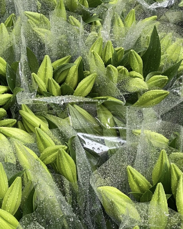 Что нужно знать про второе свидание?