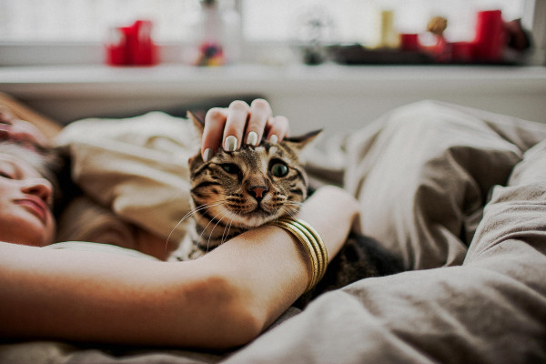 Свадьба Алексея Киняпина и Анны Коздуровой