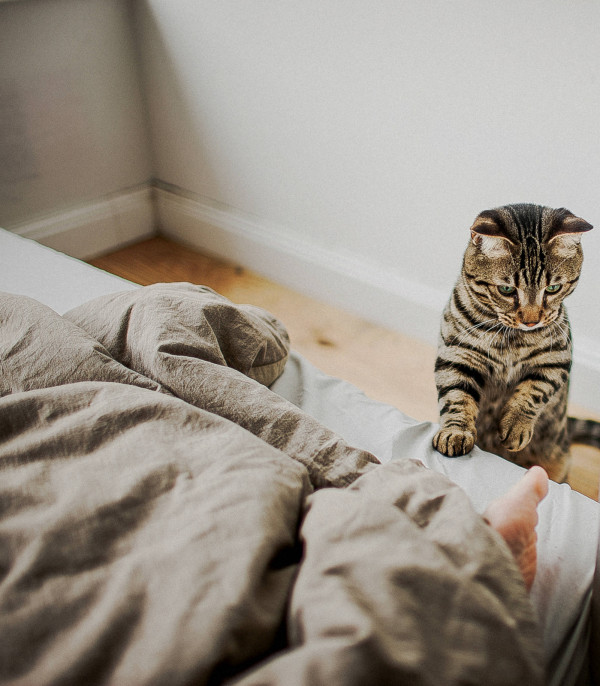 Свадьба Алексея Киняпина и Анны Коздуровой