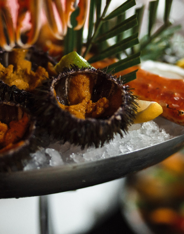 Ресторан-теплоход: интервью с представителем легендарной «Чайки»