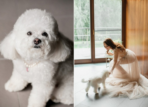 Love is in the air: свадьба Ани