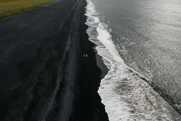 Мои свадебные фейлы: нападение чаек, порванное платье