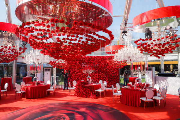 Площадки Olymp Junior