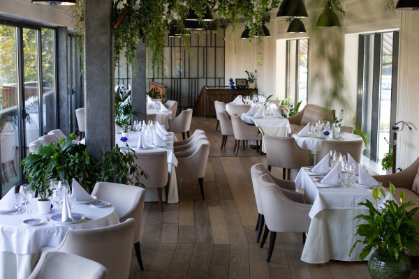 Площадки Olymp Junior