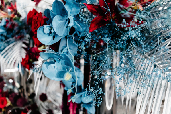 Свадьба Дмитрия и Марины в усадьбе Салтыковых-Чертковых