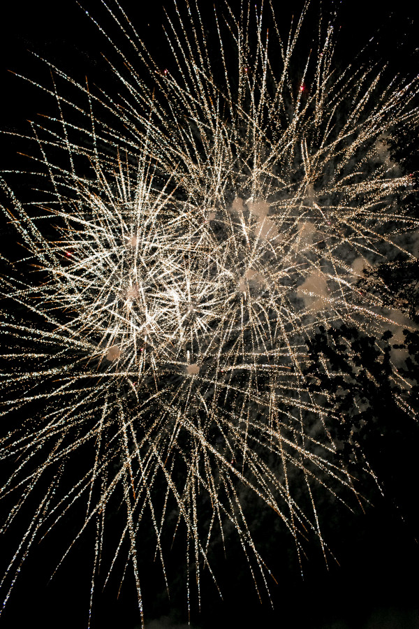 Летняя свадьба среди сосен