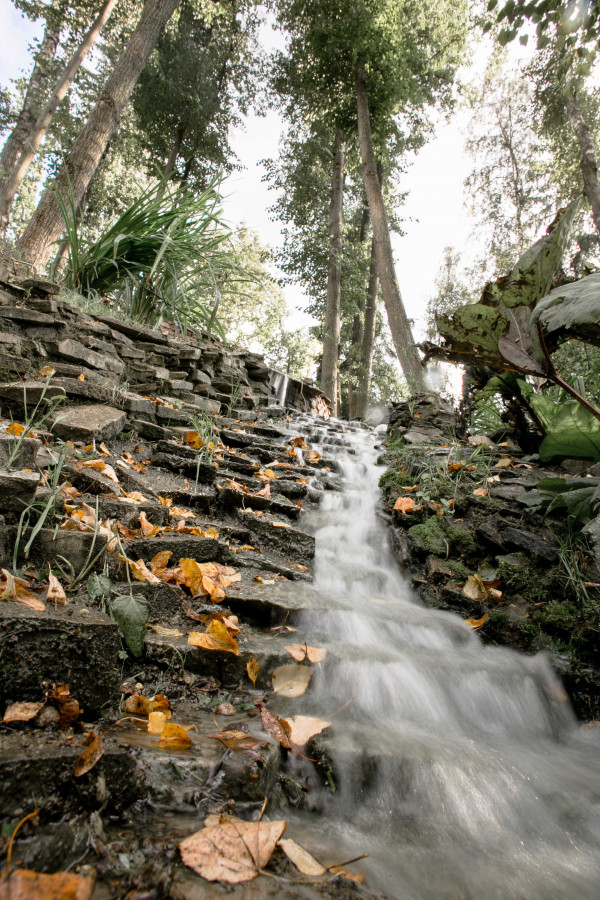 Летняя свадьба среди сосен