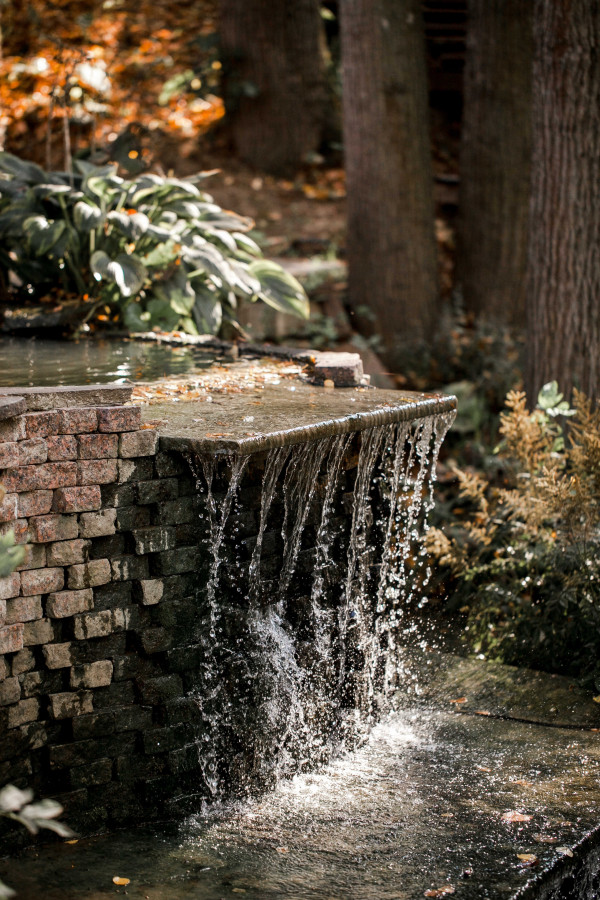 Летняя свадьба среди сосен