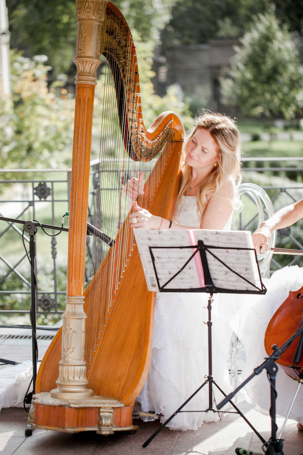 Летняя свадьба среди сосен