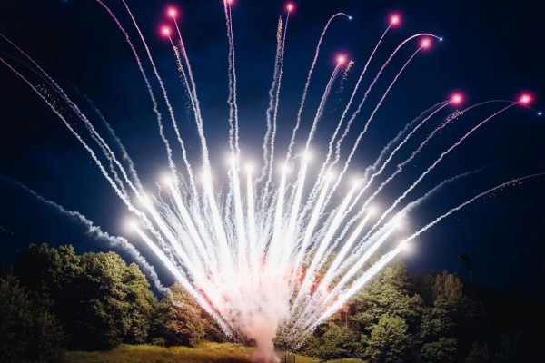 Площадки Парк-отель «Орловский»