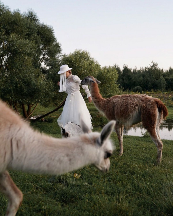 Идея для предсвадебной съемки — фотосессия на