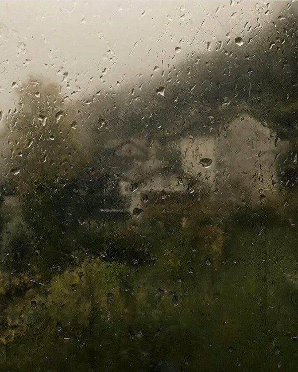 5 самых популярных свадебных форс-мажоров (и как