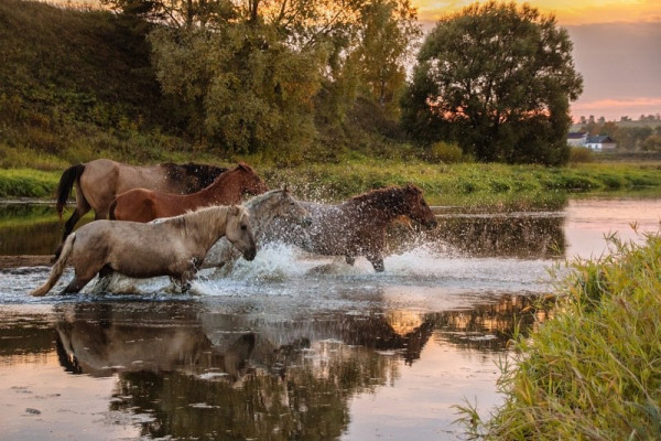Идея для предсвадебной съемки — фотосессия на
