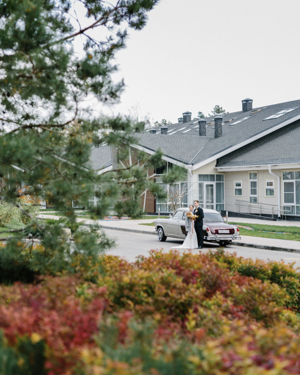 Все, что нужно знать о свадьбе в