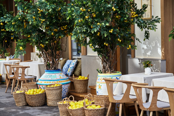 Декораторы MARIA GERMAN DECOR