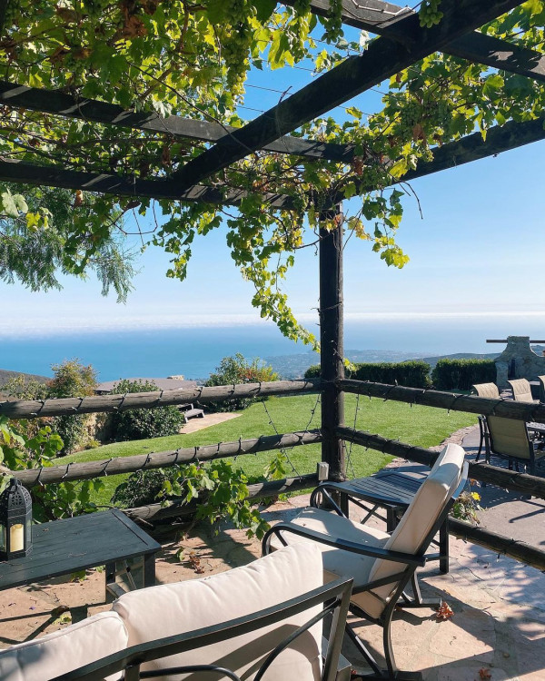 Best Vineyard Wedding Venues