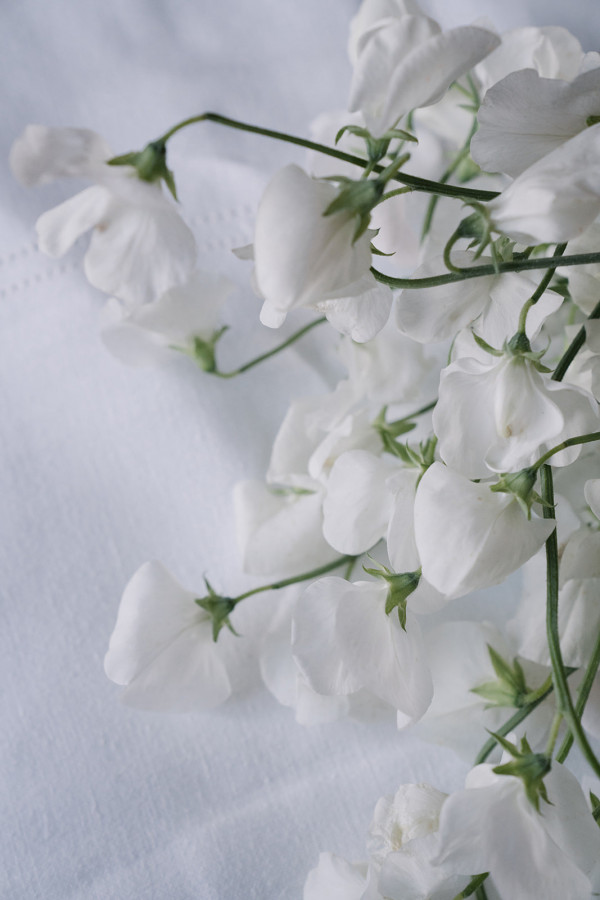 Как Cheers воплощают мечты в реальность