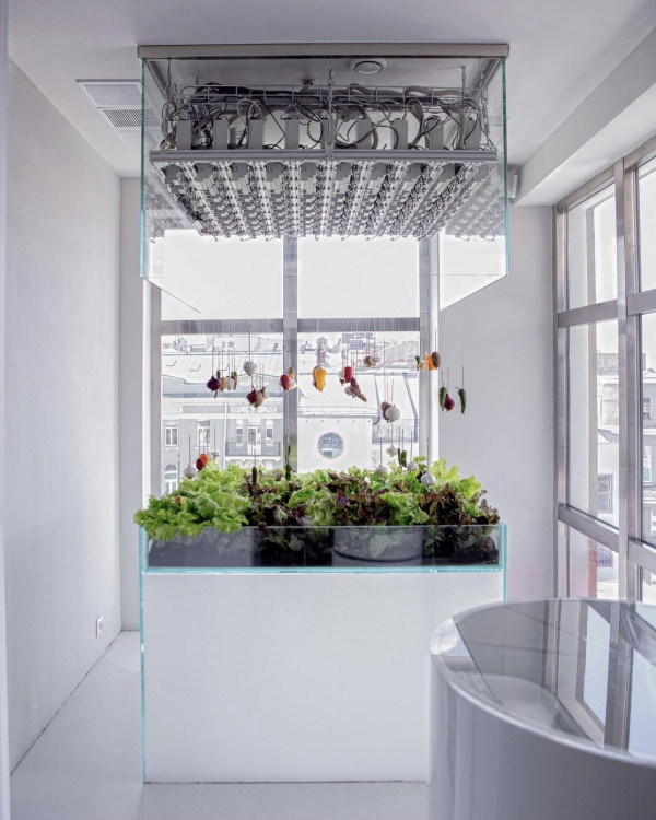 9 мишленовских ресторанов Москвы, в которых можно