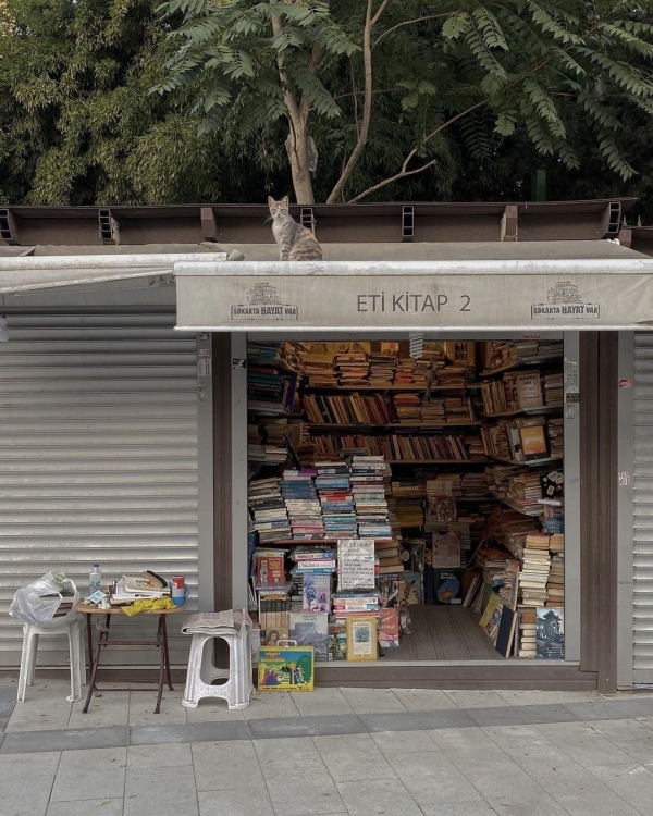 Турция осенью: куда ехать, что смотреть и