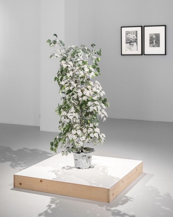 Куда пойти на свидание в октябре: культурные