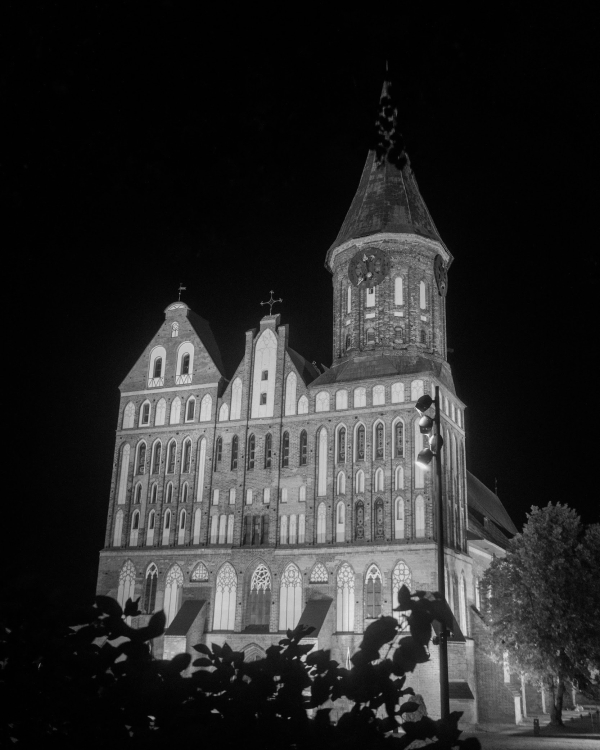 Свадебная церемония в готическом соборе и камерный