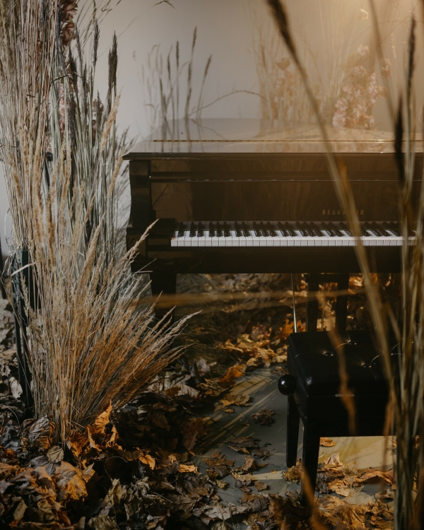 Свадьба в особняке Спиридонова, вдохновленная осенней эстетикой