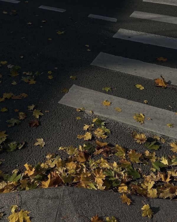 30 треков для уютного осеннего вечера