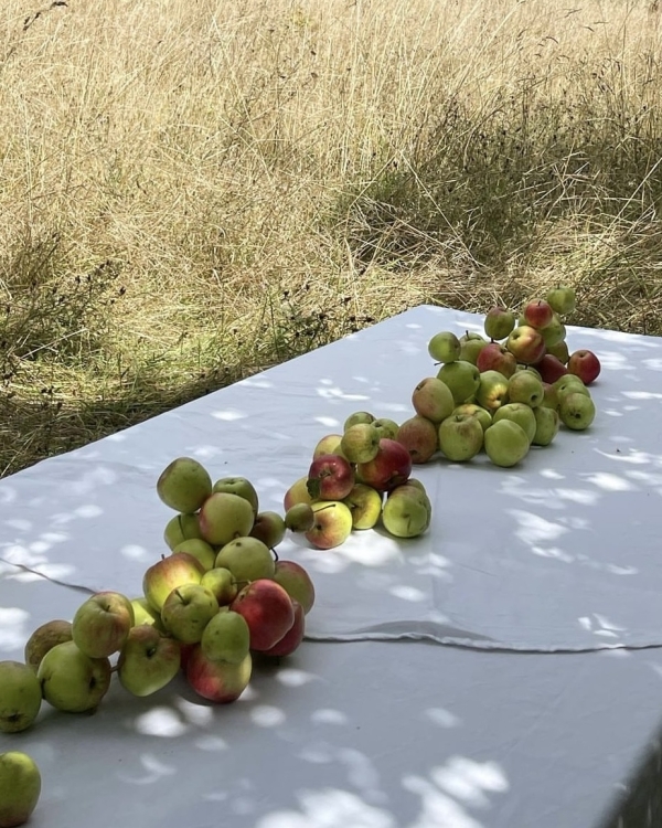 Фруктовое настроение: 22 идеи съедобного сет-дизайна на