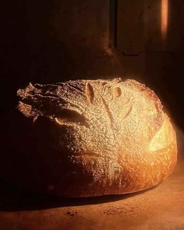 Время горячих булочек или где покупать свежую