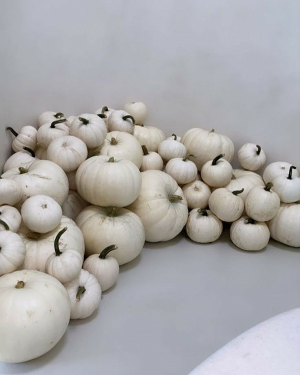 Тыквы и не только: 20 идей стильного