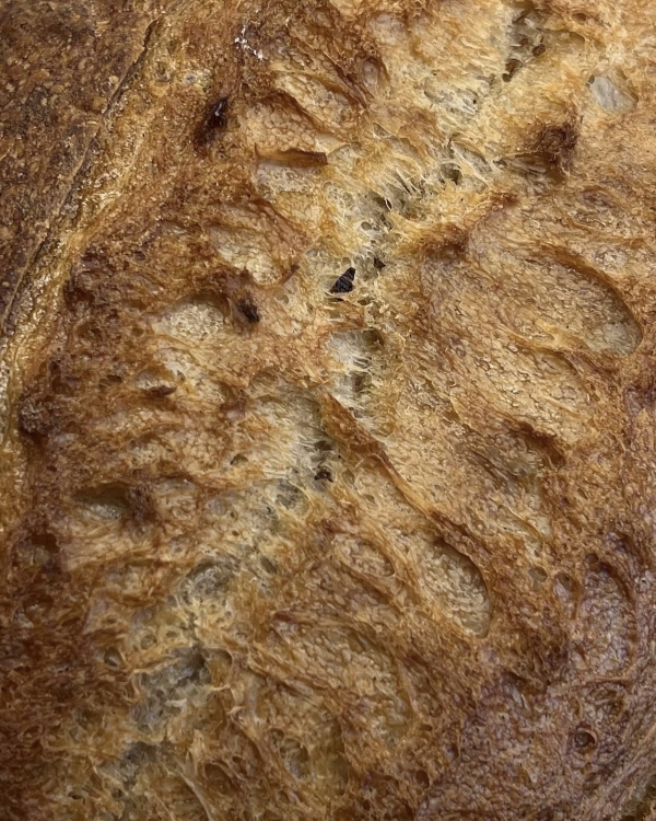 Время горячих булочек или где покупать свежую