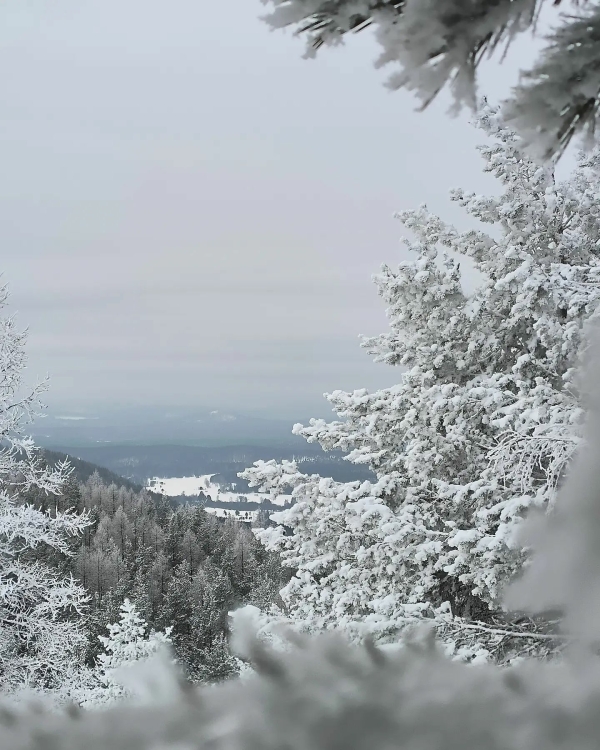 Куда поехать кататься на горных лыжах в